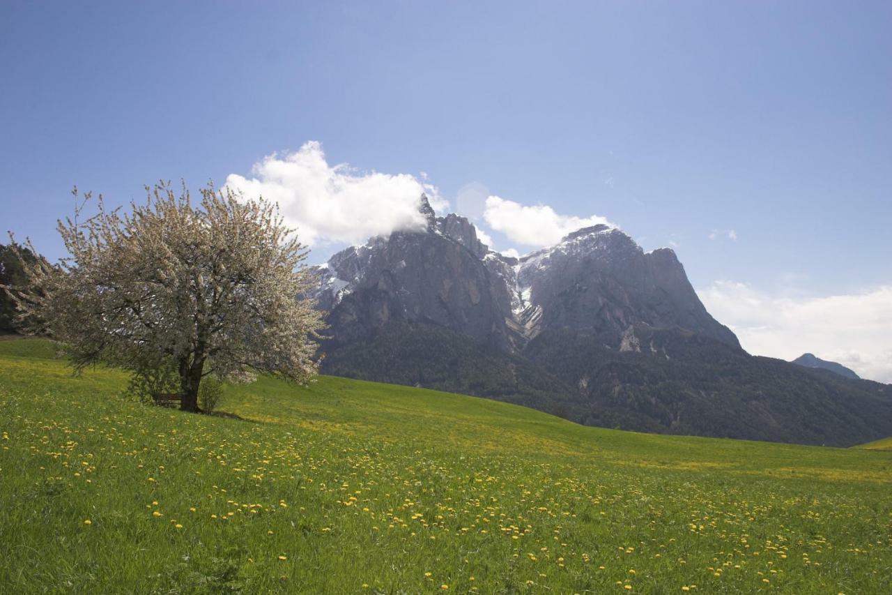Tomasoethof Βίλα Castelrotto Εξωτερικό φωτογραφία